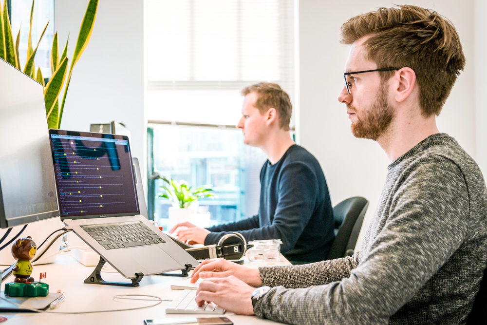 WordPress Website: Smart Solution for Business, Portfolio, and E-Commerce